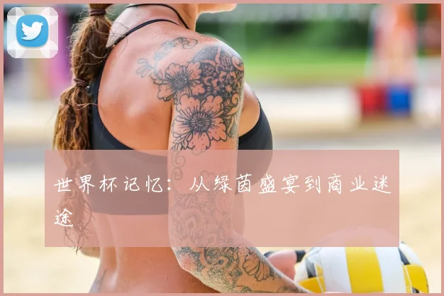 世界杯记忆：从绿茵盛宴到商业迷途