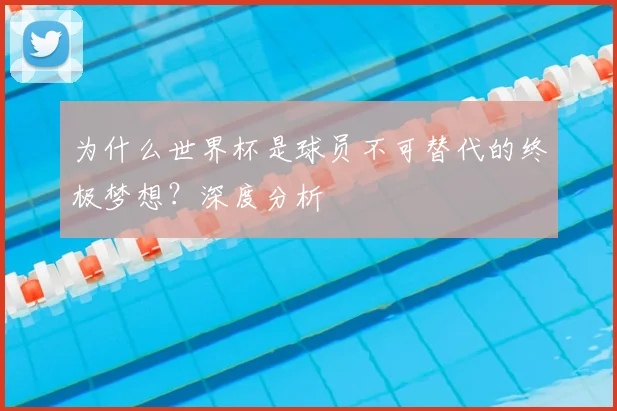 为什么世界杯是球员不可替代的终极梦想?深度分析