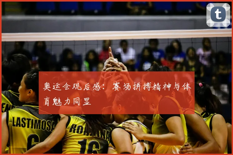 奥运会观后感：赛场拼搏精神与体育魅力同显
