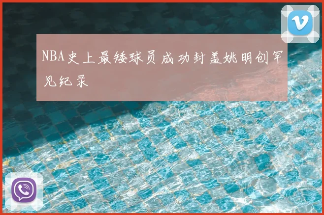 NBA史上最矮球员成功封盖姚明创罕见纪录