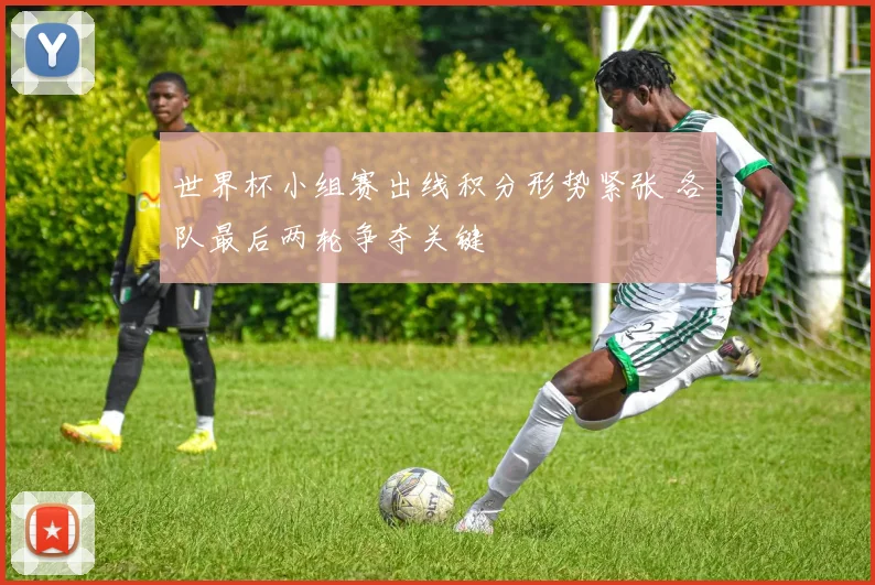 世界杯小组赛出线积分形势紧张 各队最后两轮争夺关键