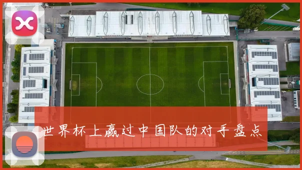 世界杯上赢过中国队的对手盘点