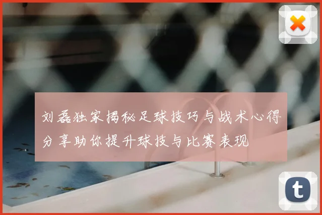 刘磊独家揭秘足球技巧与战术心得分享助你提升球技与比赛表现