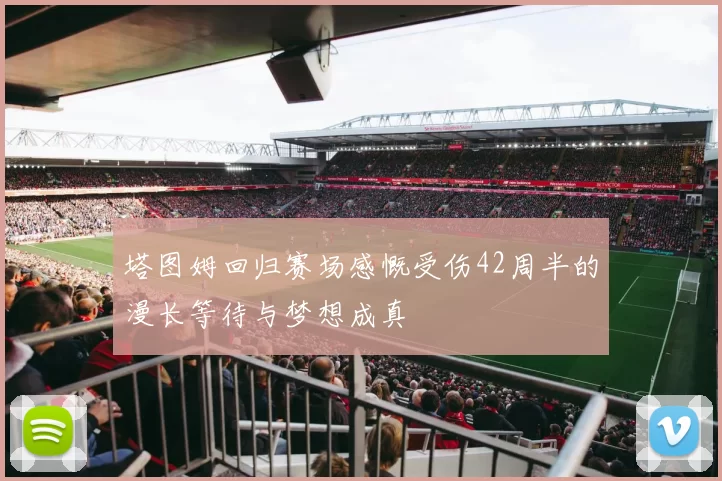 塔图姆回归赛场感慨受伤42周半的漫长等待与梦想成真