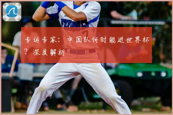 专访专家：中国队何时能进世界杯？深度解析