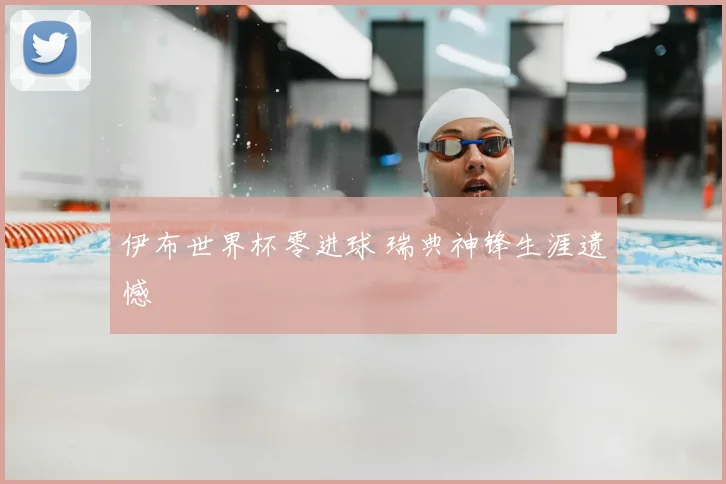 伊布世界杯零进球 瑞典神锋生涯遗憾
