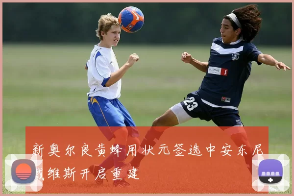 新奥尔良黄蜂用状元签选中安东尼戴维斯开启重建