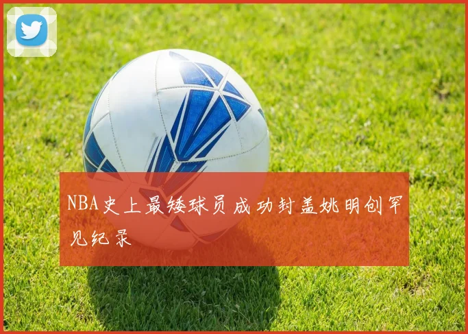 NBA史上最矮球员成功封盖姚明创罕见纪录