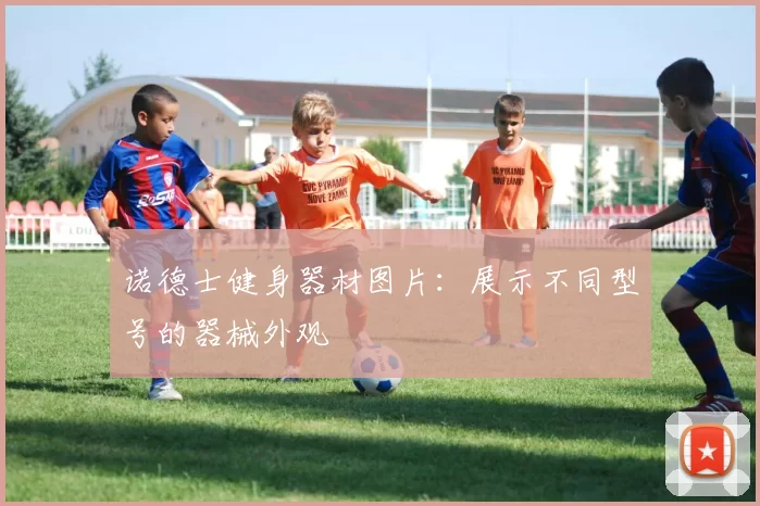 诺德士健身器材图片：展示不同型号的器械外观