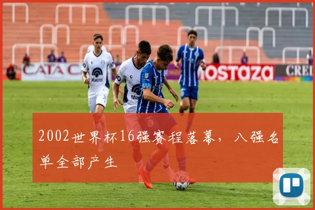 2002世界杯16强赛程落幕，八强名单全部产生