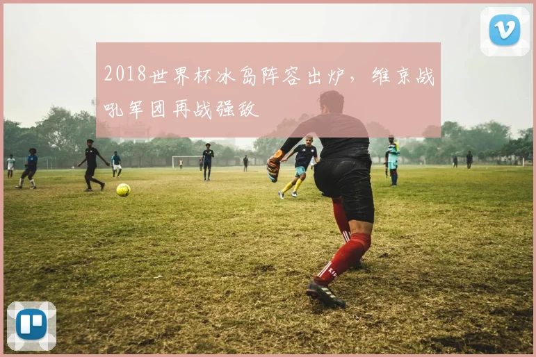 2018世界杯冰岛阵容出炉，维京战吼军团再战强敌
