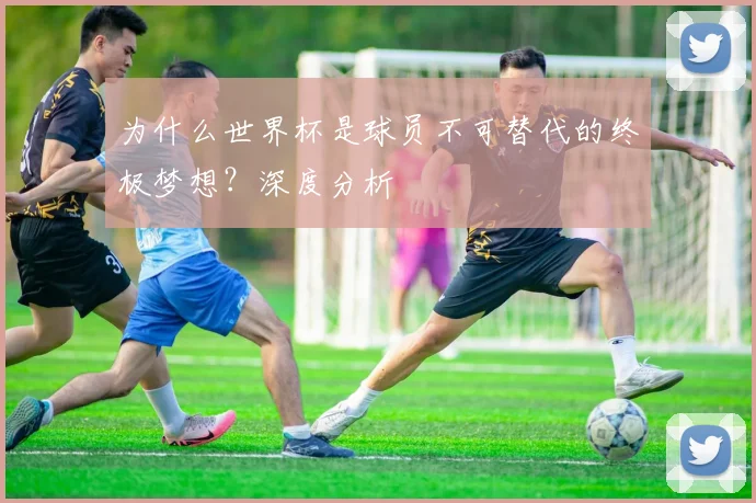 为什么世界杯是球员不可替代的终极梦想？深度分析