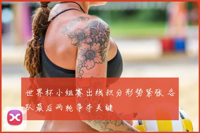 世界杯小组赛出线积分形势紧张 各队最后两轮争夺关键