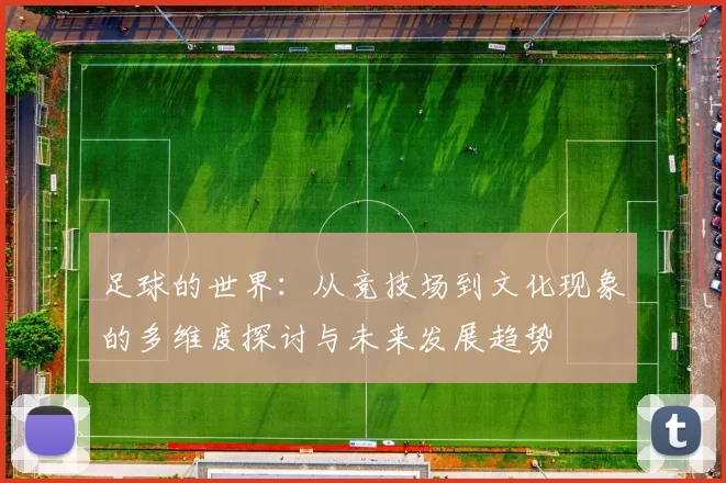 足球的世界：从竞技场到文化现象的多维度探讨与未来发展趋势