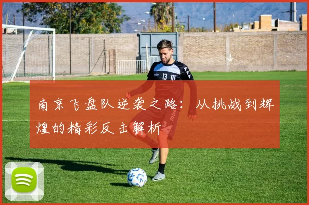 南京飞盘队逆袭之路：从挑战到辉煌的精彩反击解析