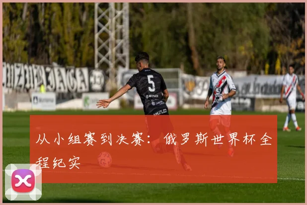 从小组赛到决赛:俄罗斯世界杯全程纪实